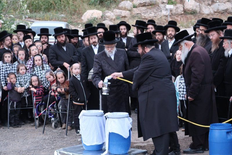 יוסי לוי