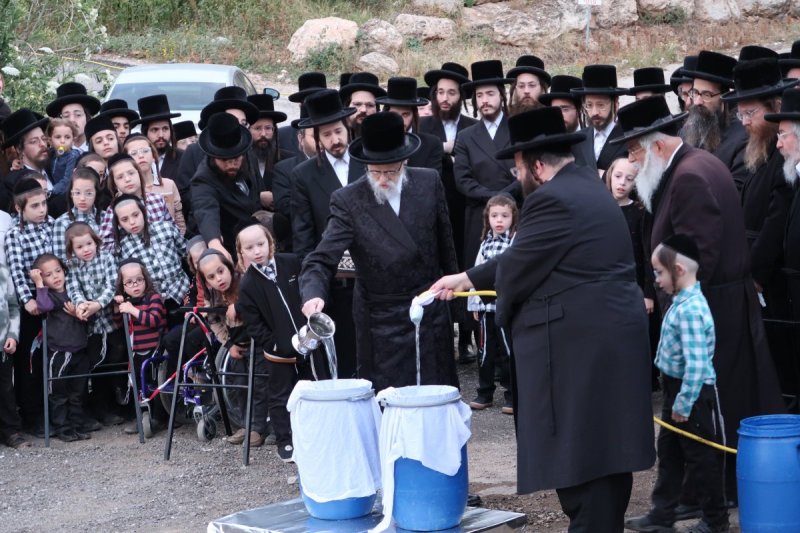 יוסי לוי
