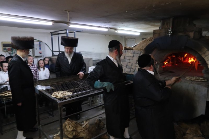 יוסי לוי