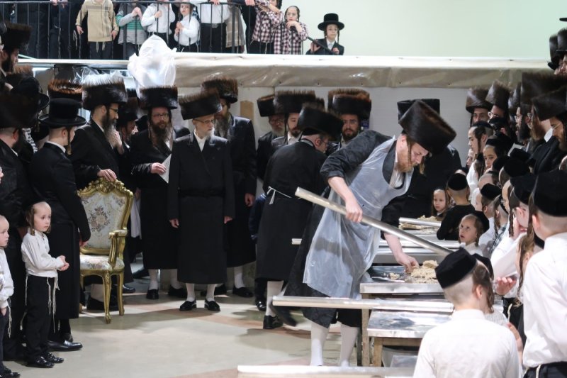 יוסי לוי