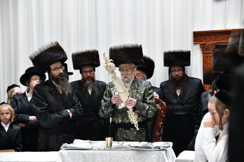 יוסי לוי