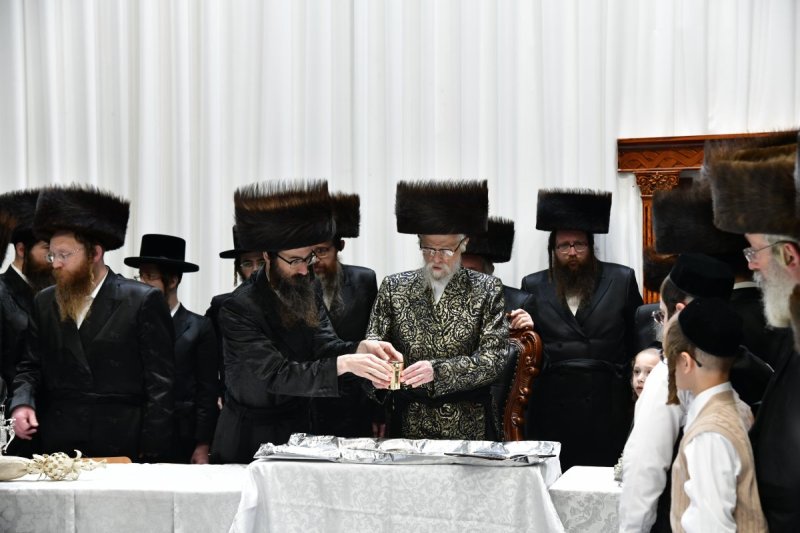 יוסי לוי
