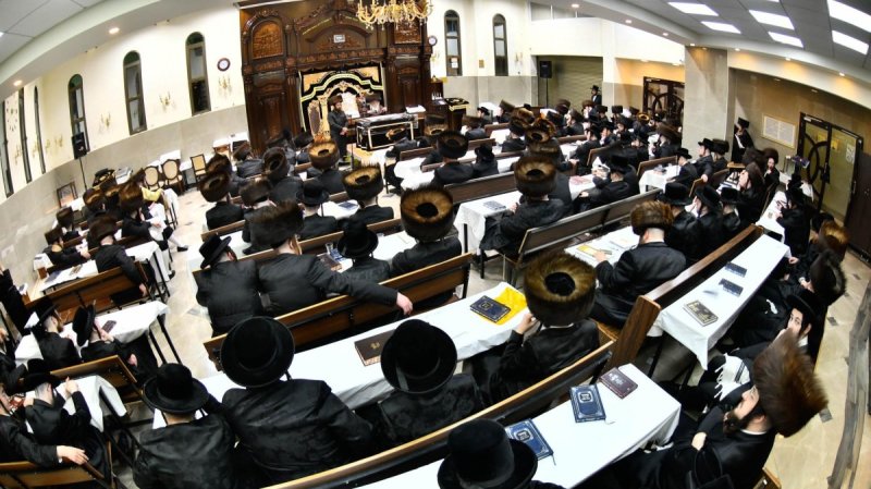 שוקי לרר