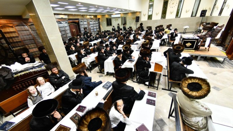 שוקי לרר