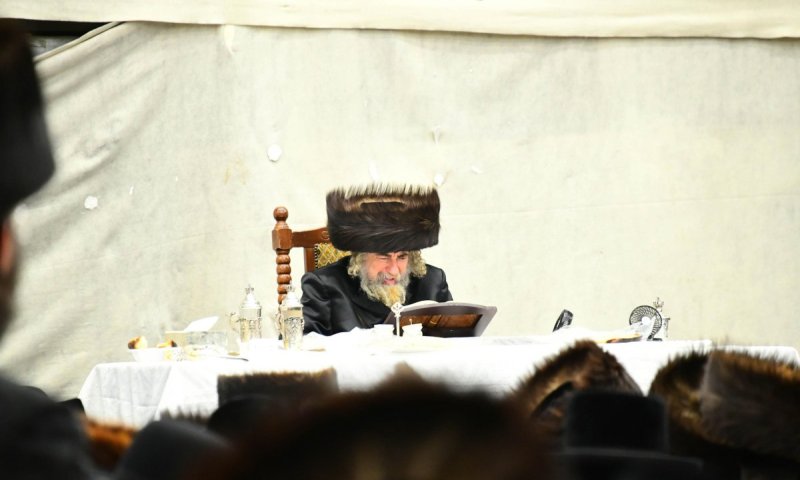 רק עם הבחורים: הרבי מרחמסטריווקא שבת באלעד