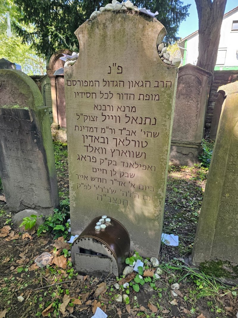 באדיבות המצלם