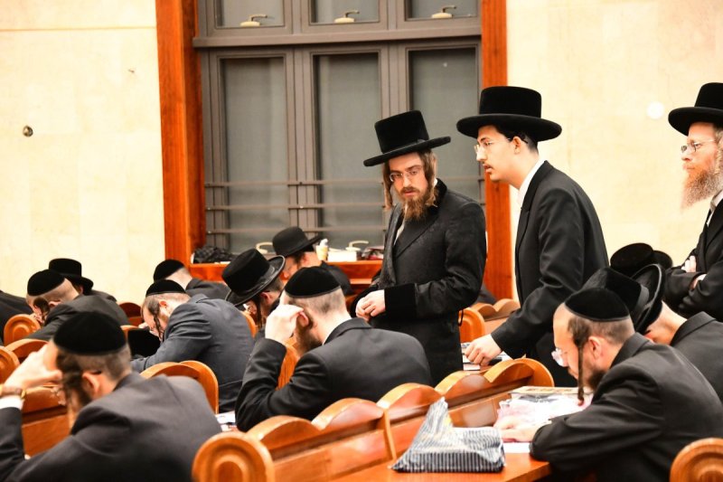 שוקי לרר