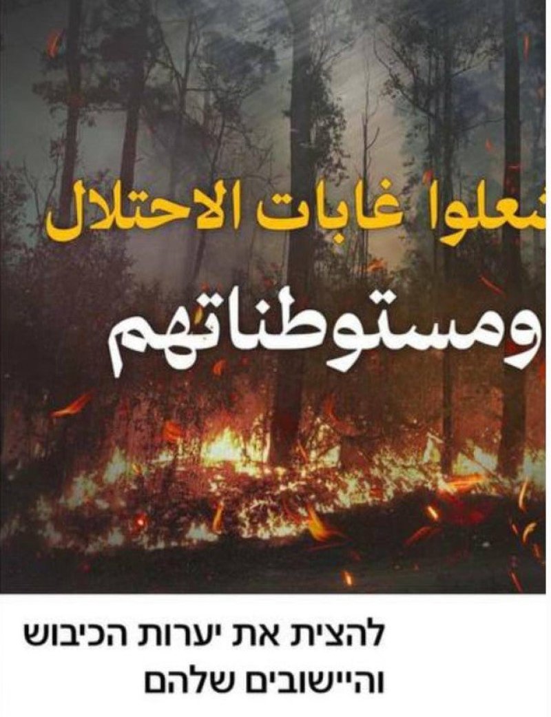 רשתות חברתיות