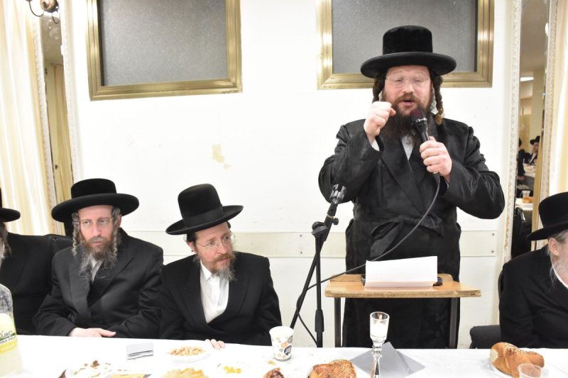 יהודה פרקוביץ