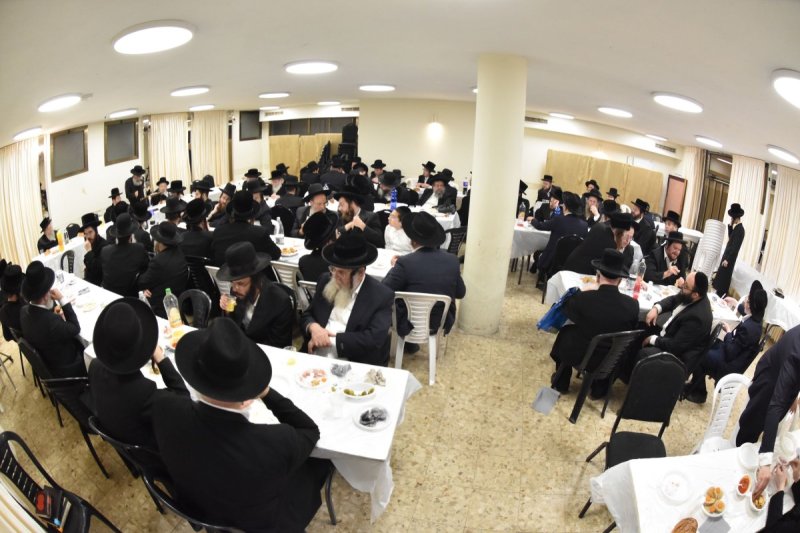 יהודה פרקוביץ