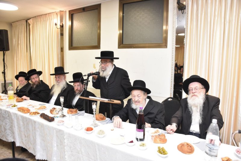 יהודה פרקוביץ