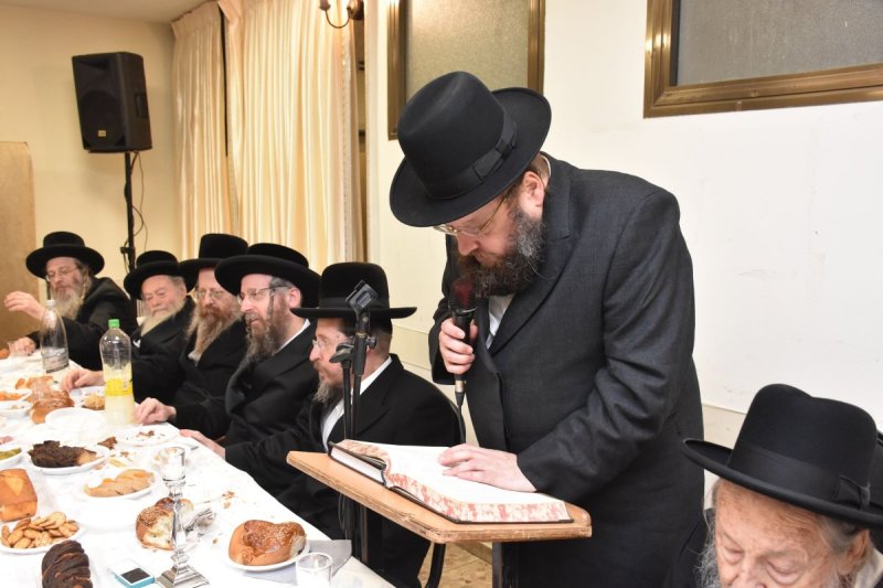 יהודה פרקוביץ