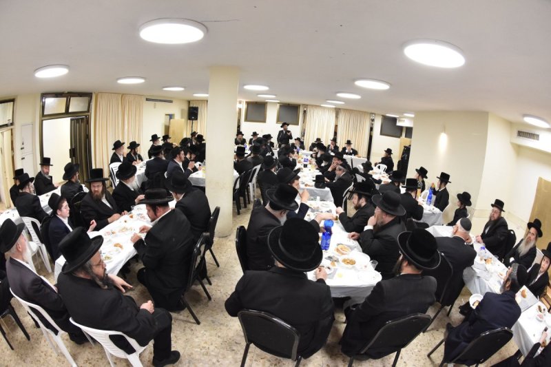 יהודה פרקוביץ