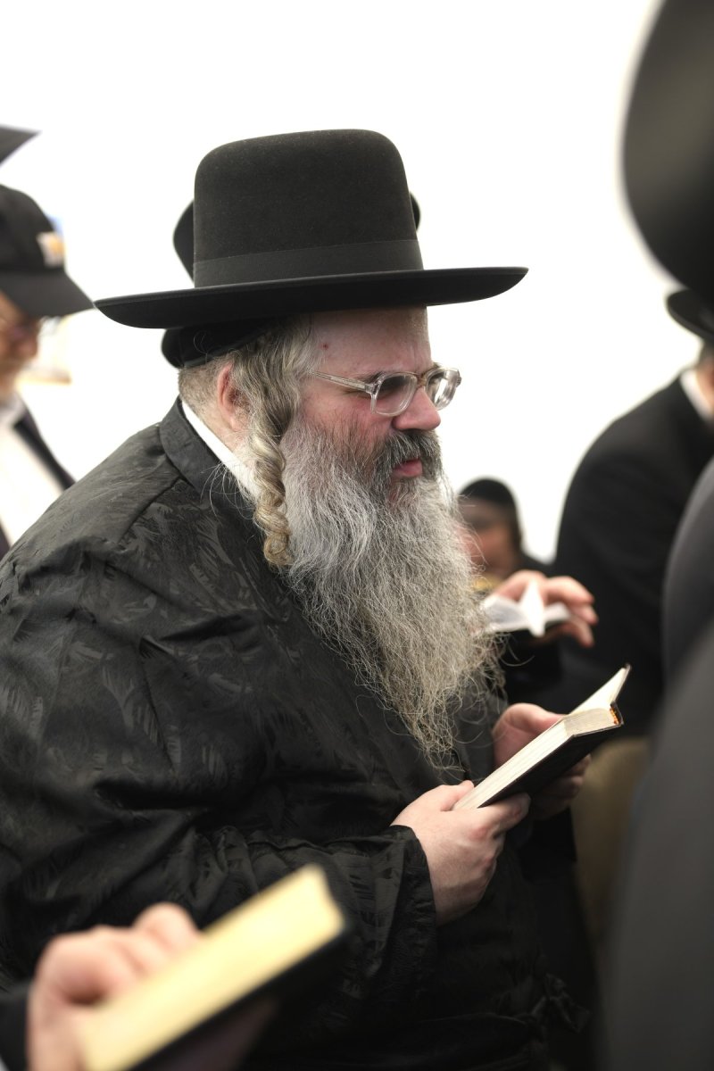 מאיר אדרי