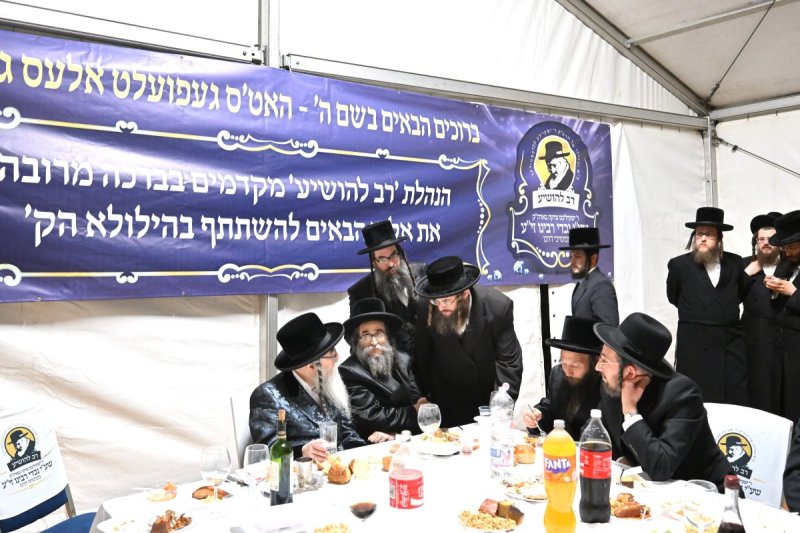 מאיר אדרי