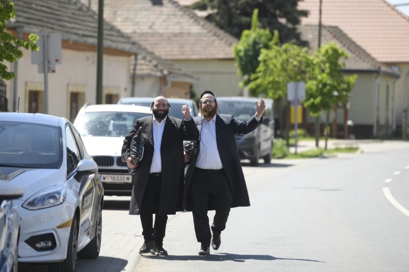 מאיר אדרי