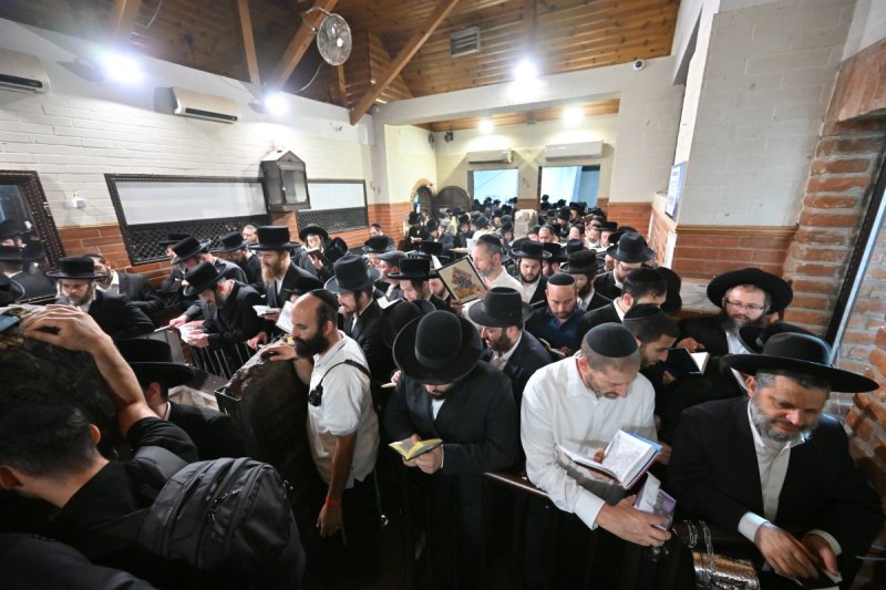 מאיר אדרי