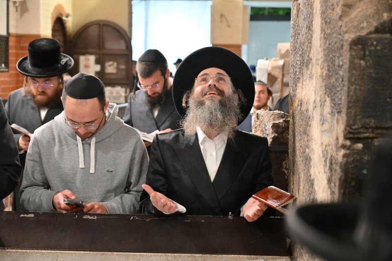 מאיר אדרי