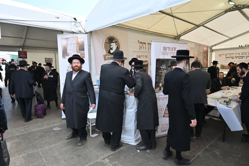 מאיר אדרי