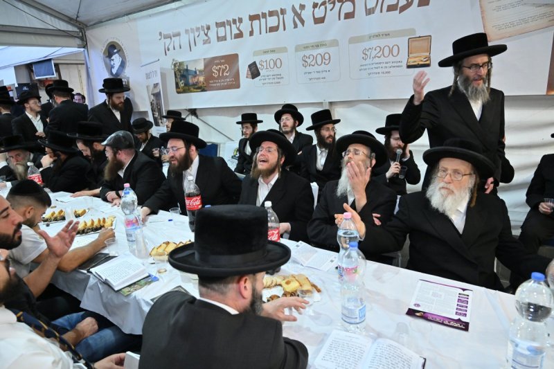 מאיר אדרי