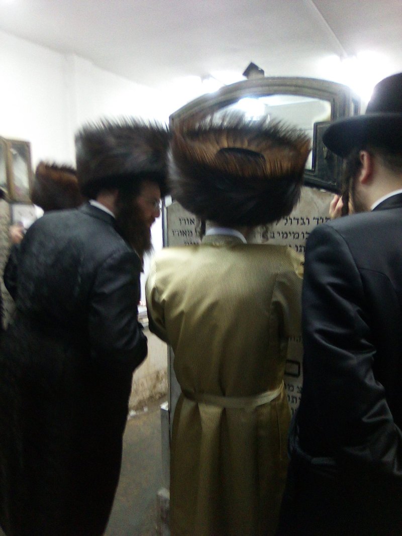 משה גולדשטיין