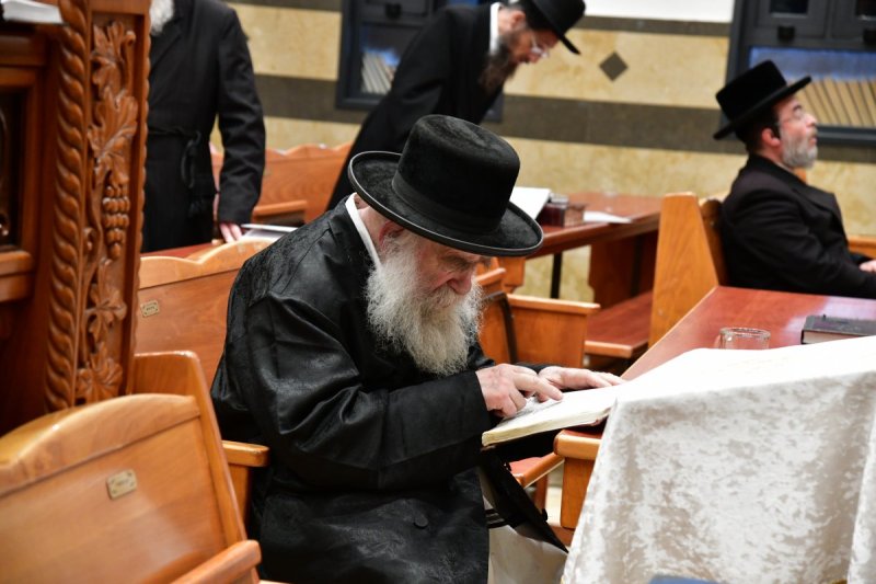 יוסי לוי
