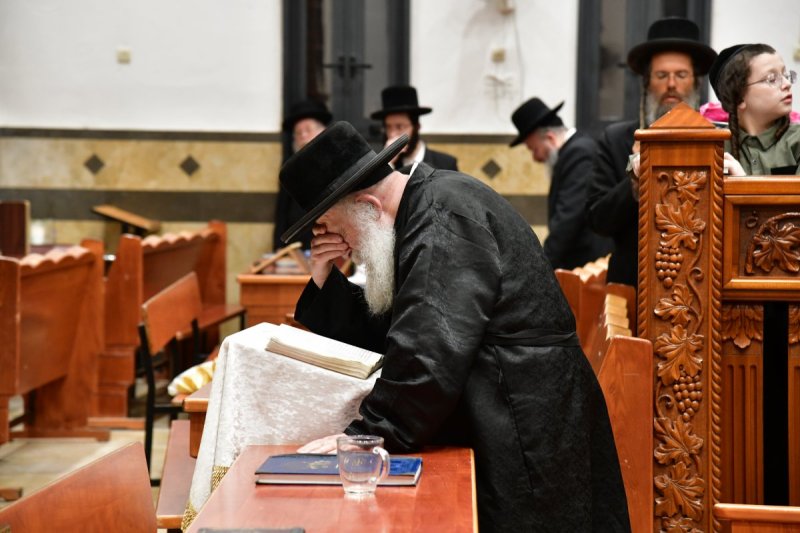יוסי לוי