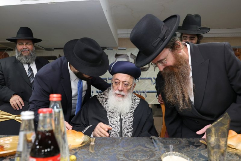יעקב כהן
