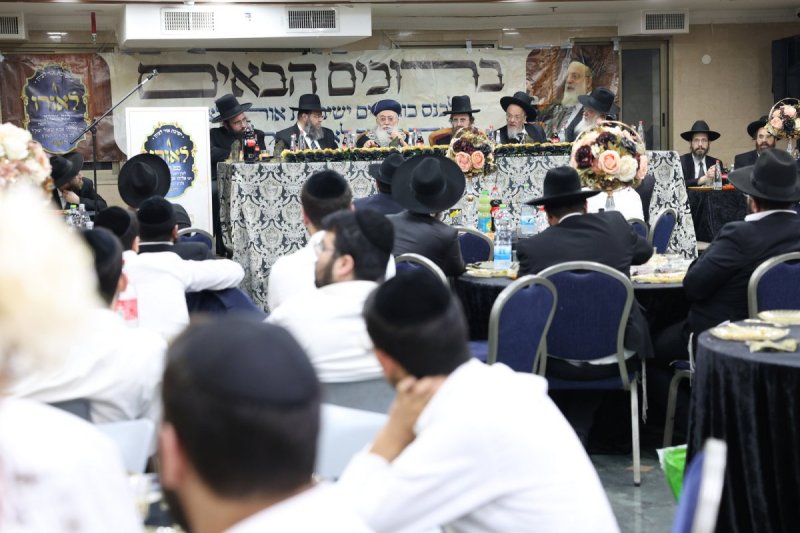 יעקב כהן