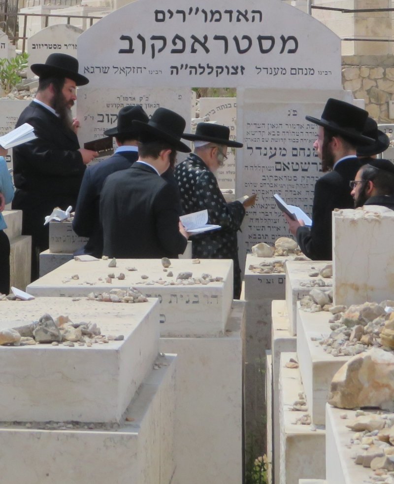 שימי פ.