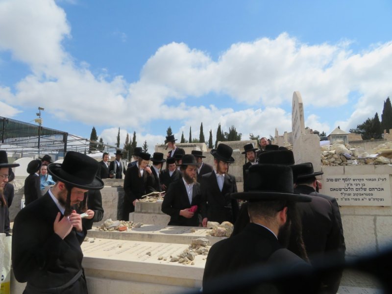 שימי פ.