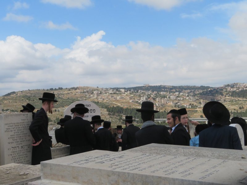שימי פ.