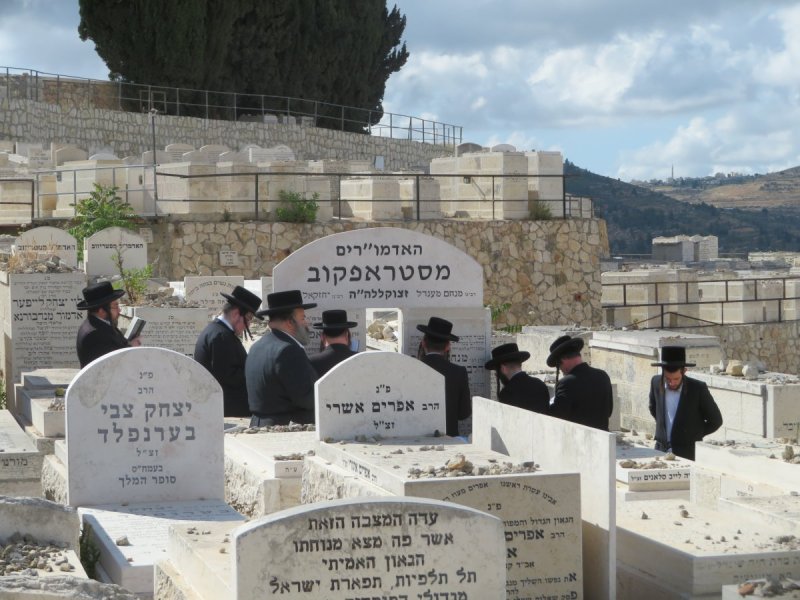 שימי פ.