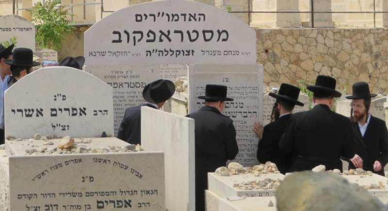 שימי פ.