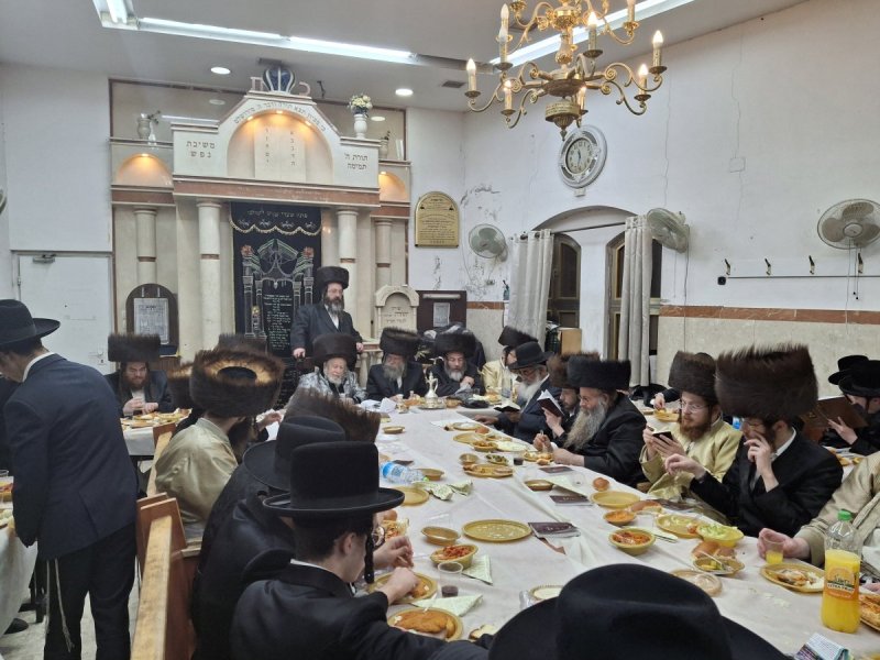 שימי פ.