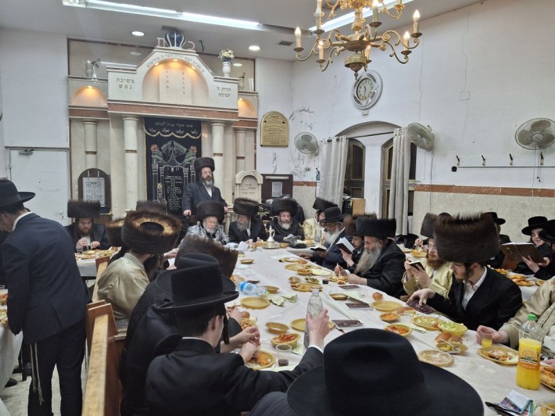 שימי פ.