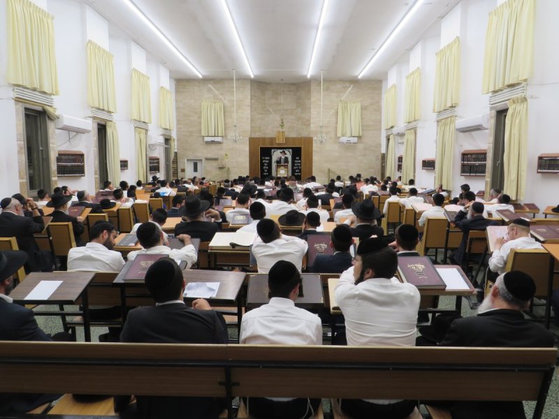 י. שטיין