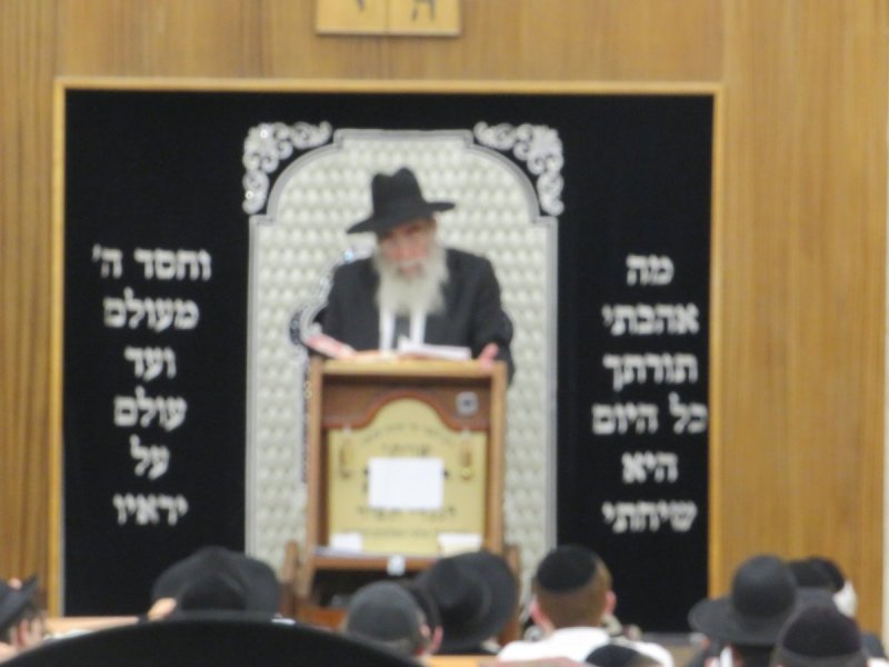 י. שטיין