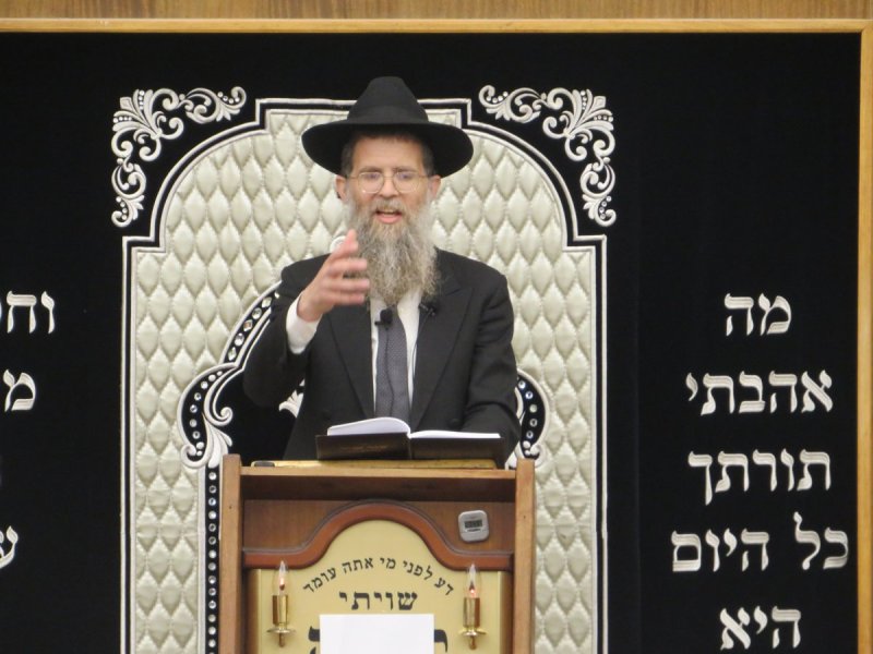 י. שטיין