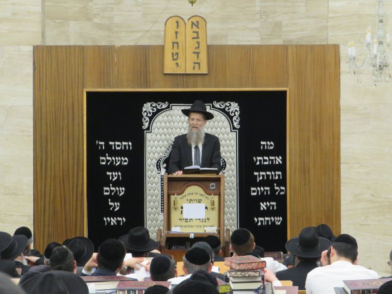 י. שטיין