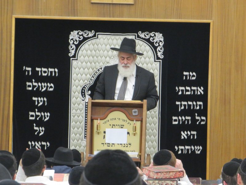 י. שטיין