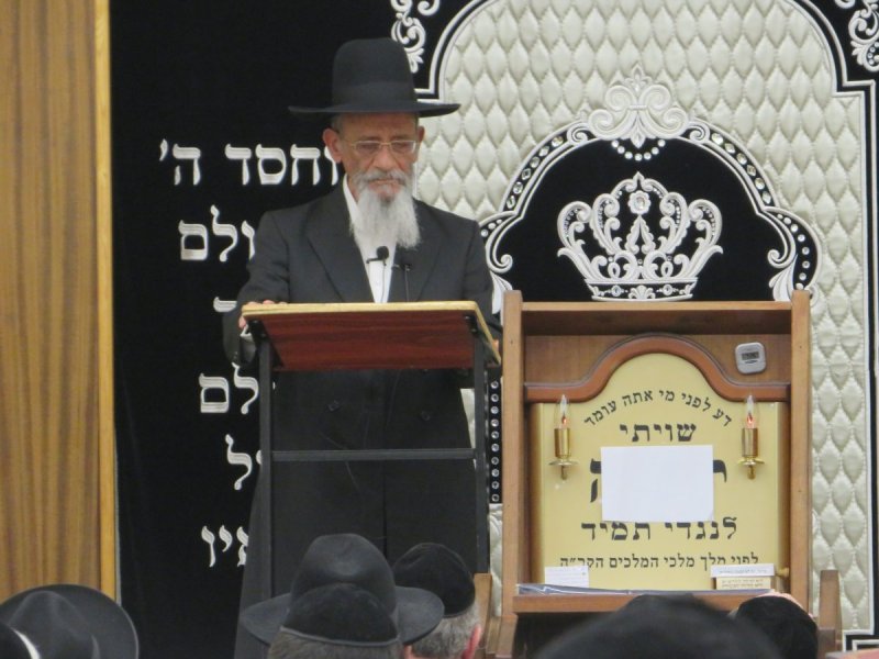 י. שטיין