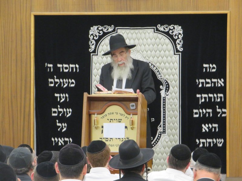 י. שטיין