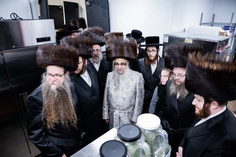 י. שטיין