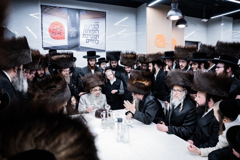 י. שטיין