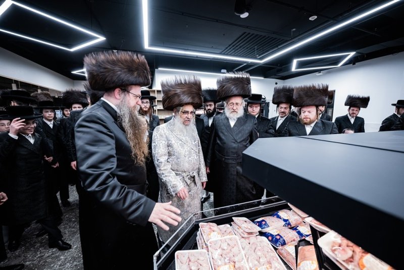 י. שטיין