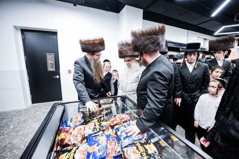 י. שטיין