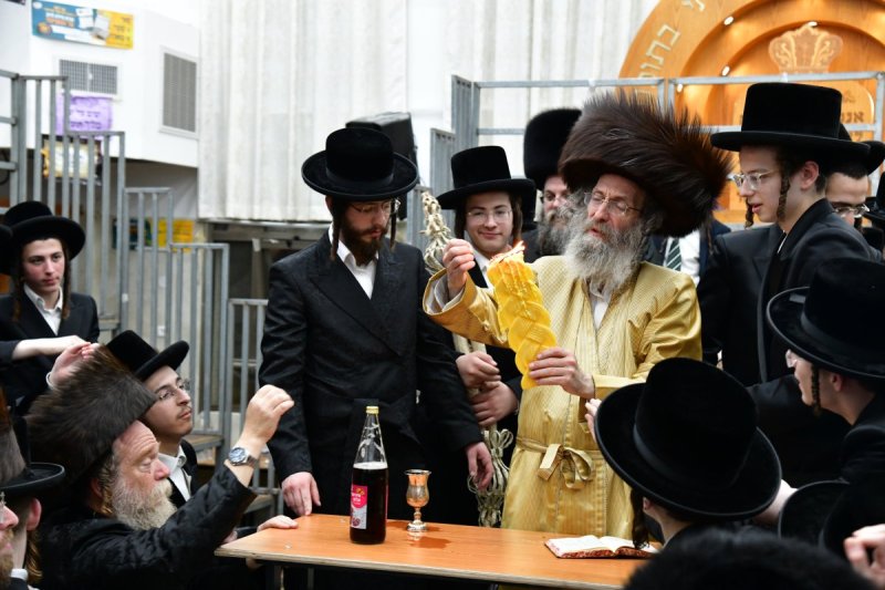 יוסי לוי