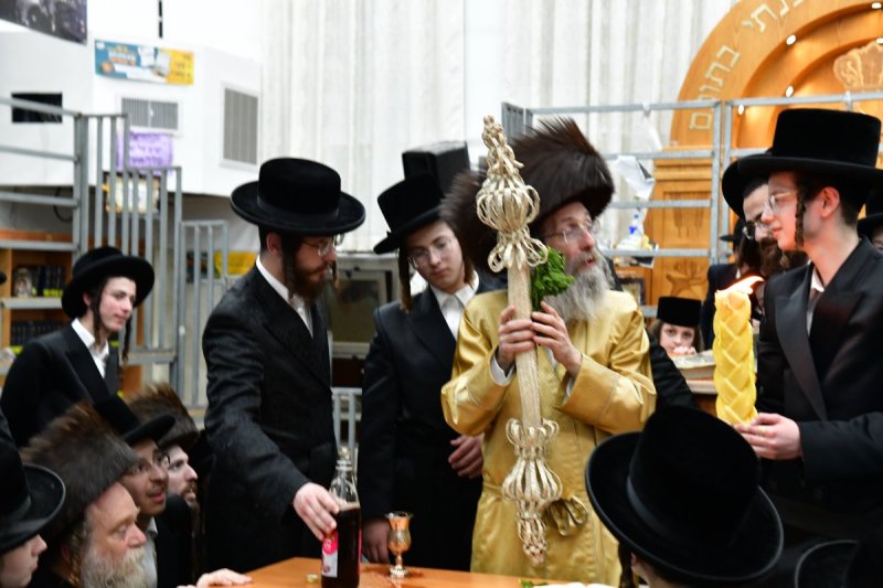 יוסי לוי