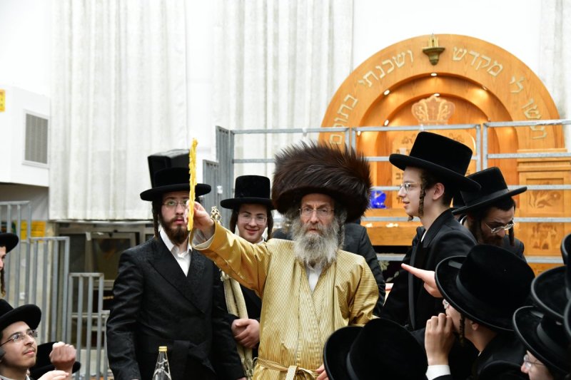 יוסי לוי
